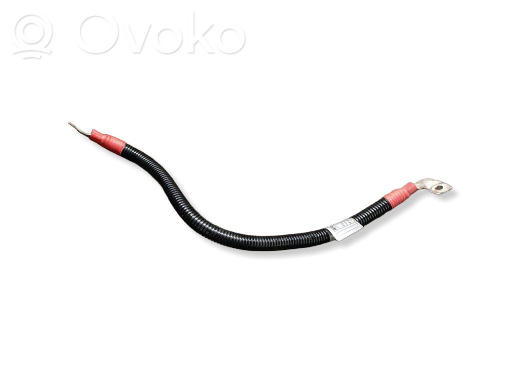 Positive cable (battery)   7796127