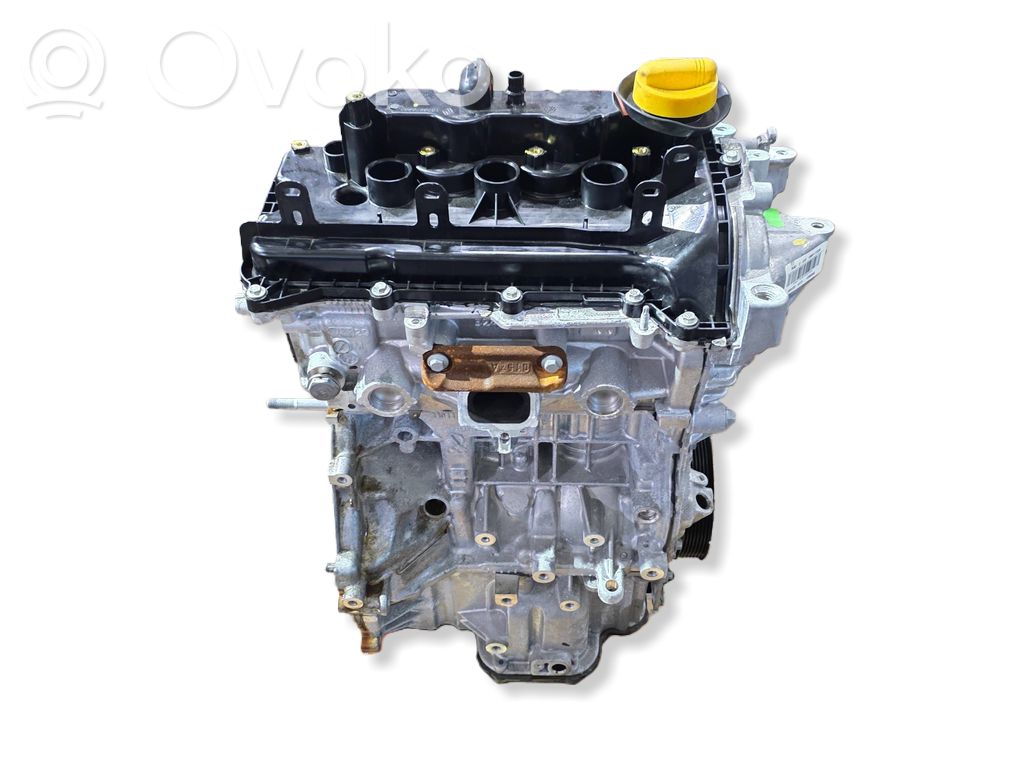 Engine   100017722R,8201733029