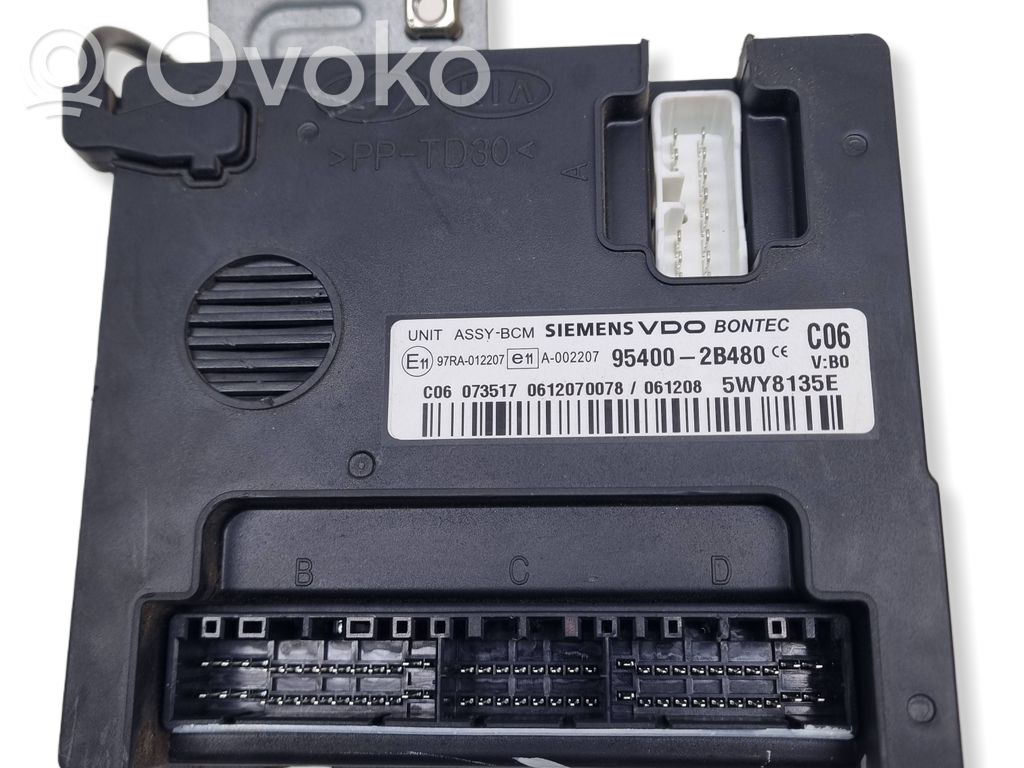 Hyundai Santa Fe Moduł / Sterownik immobilizera 