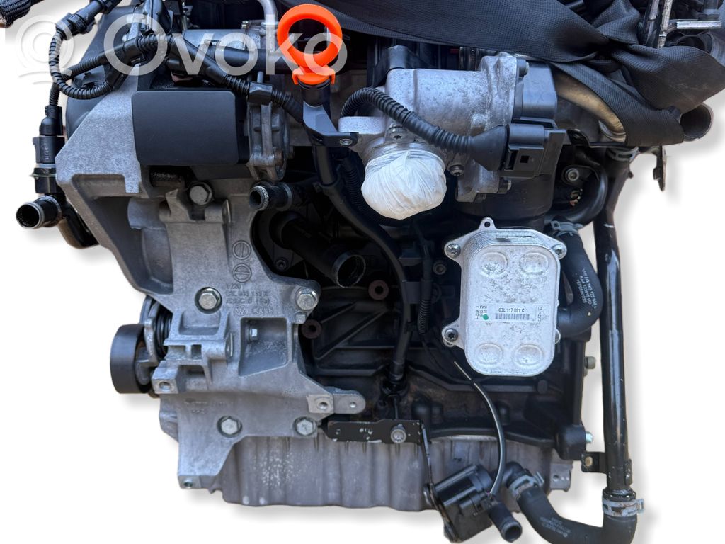 Motor