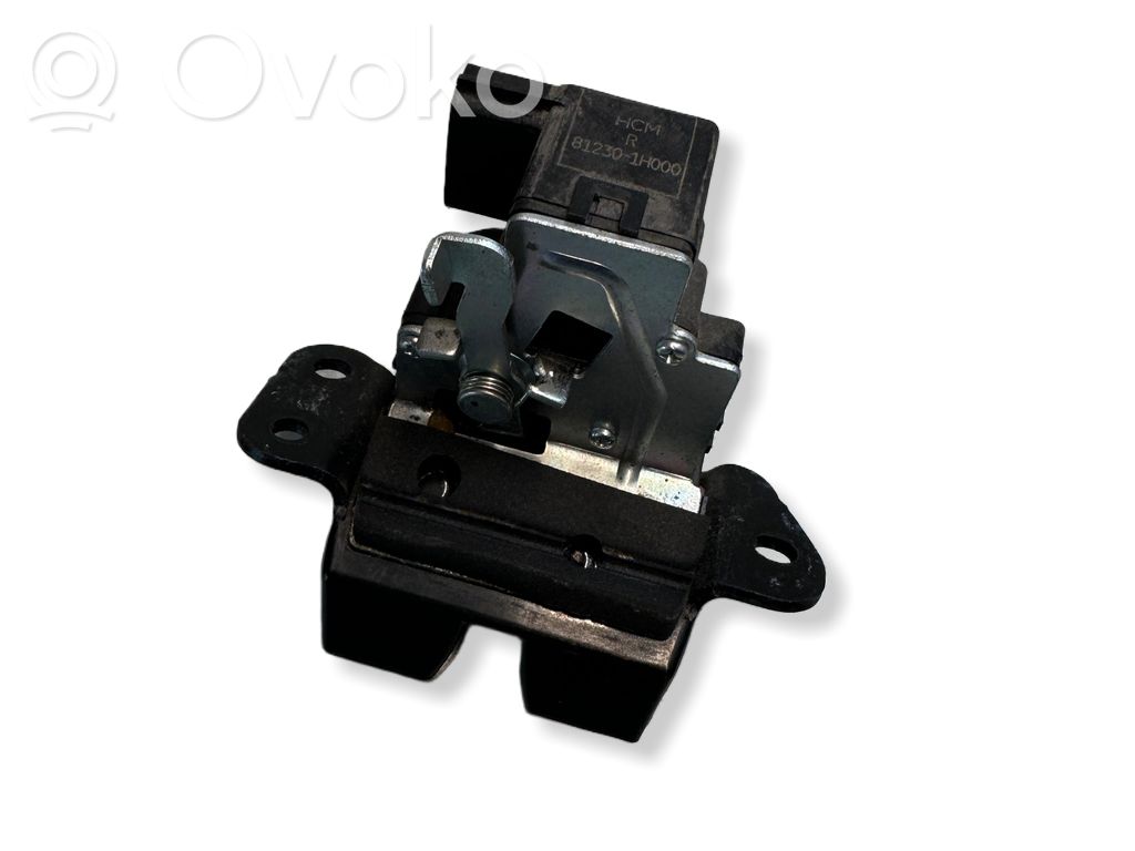Tailgate/trunk/boot lock/catch/latch   355
