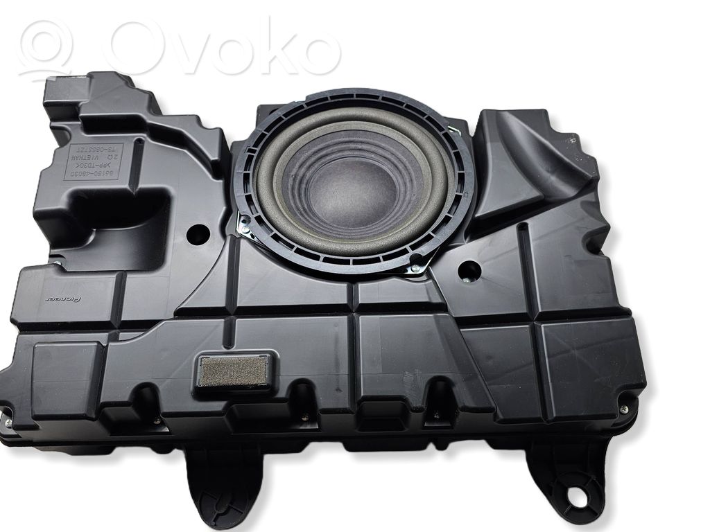 Altavoz subwoofer   8615048030,TS08557ZT