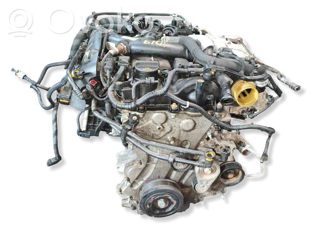 Alfa Romeo Giulia Motore 