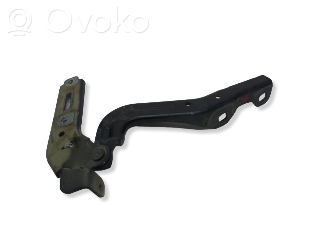 Chrysler Pacifica Engine bonnet/hood hinges 