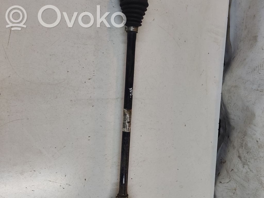 Galinis pusašis   P30759249,T050524