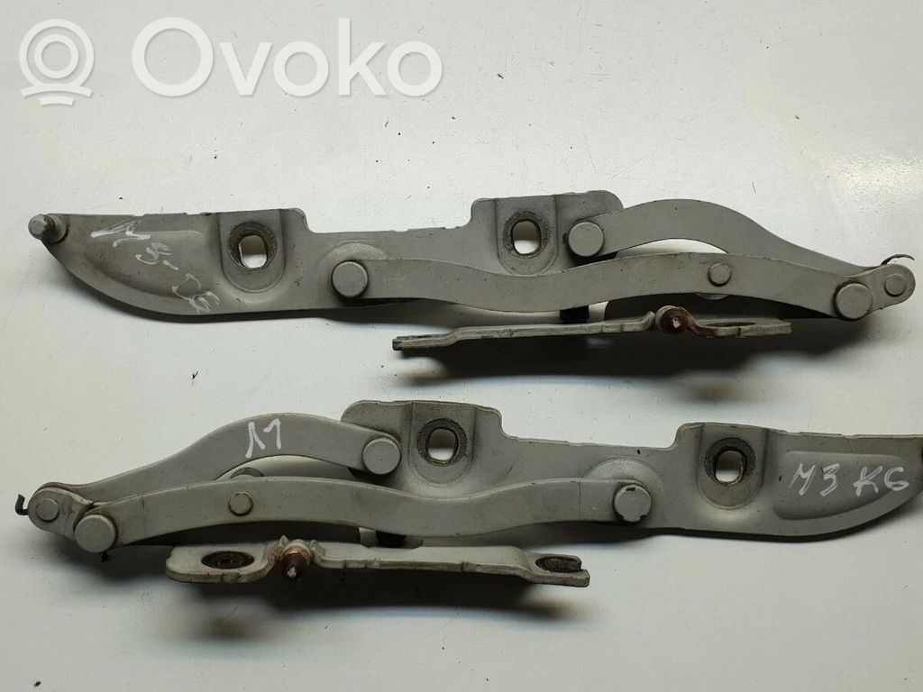 BMW M3 Tailgate/trunk/boot hinge 