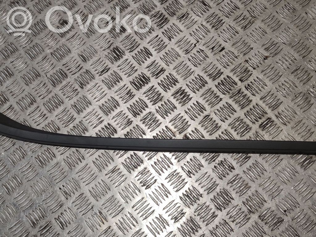 Windshield trim   30753985