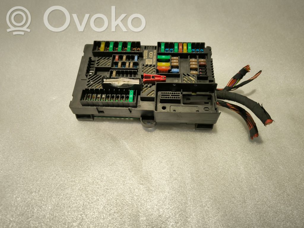 Fuse module   6828076