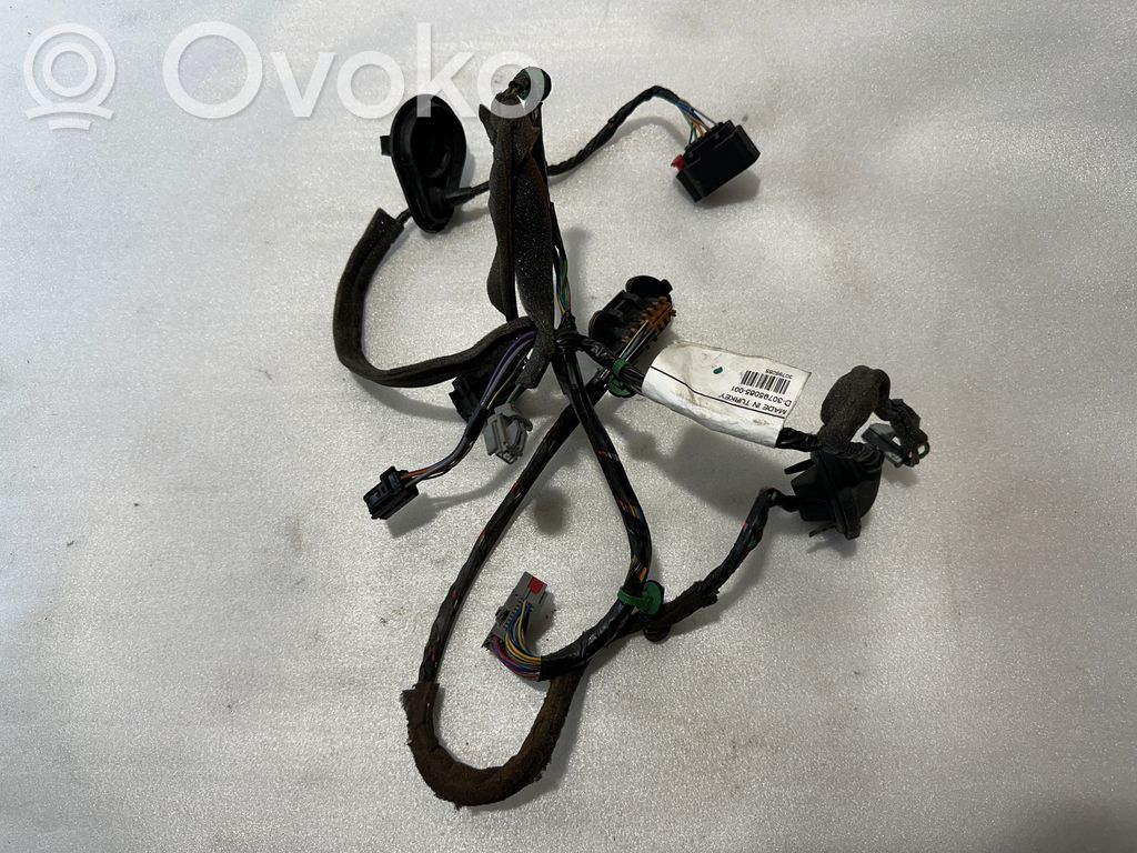 Volvo S80 Cableado de puerta trasera 