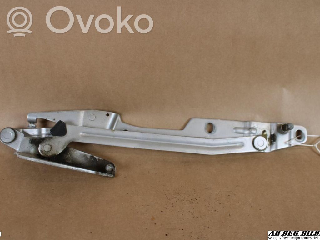 Tailgate/trunk/boot hinge