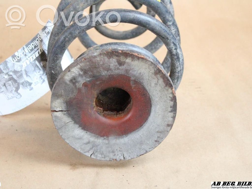 Rear coil spring