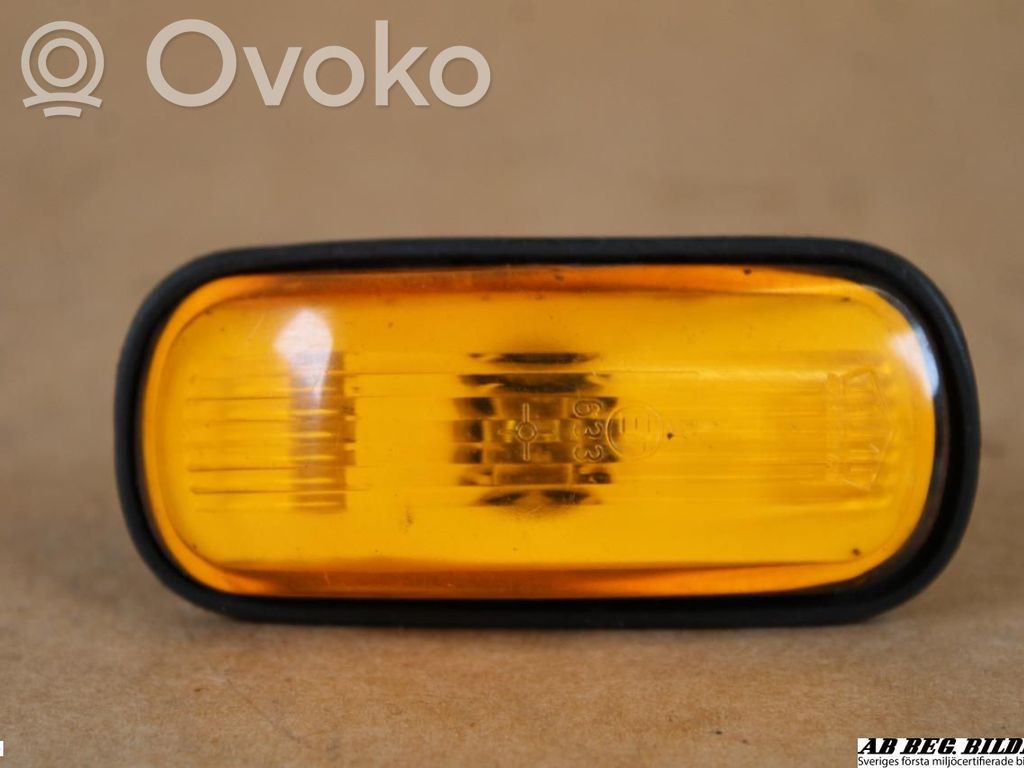 Front fender indicator light