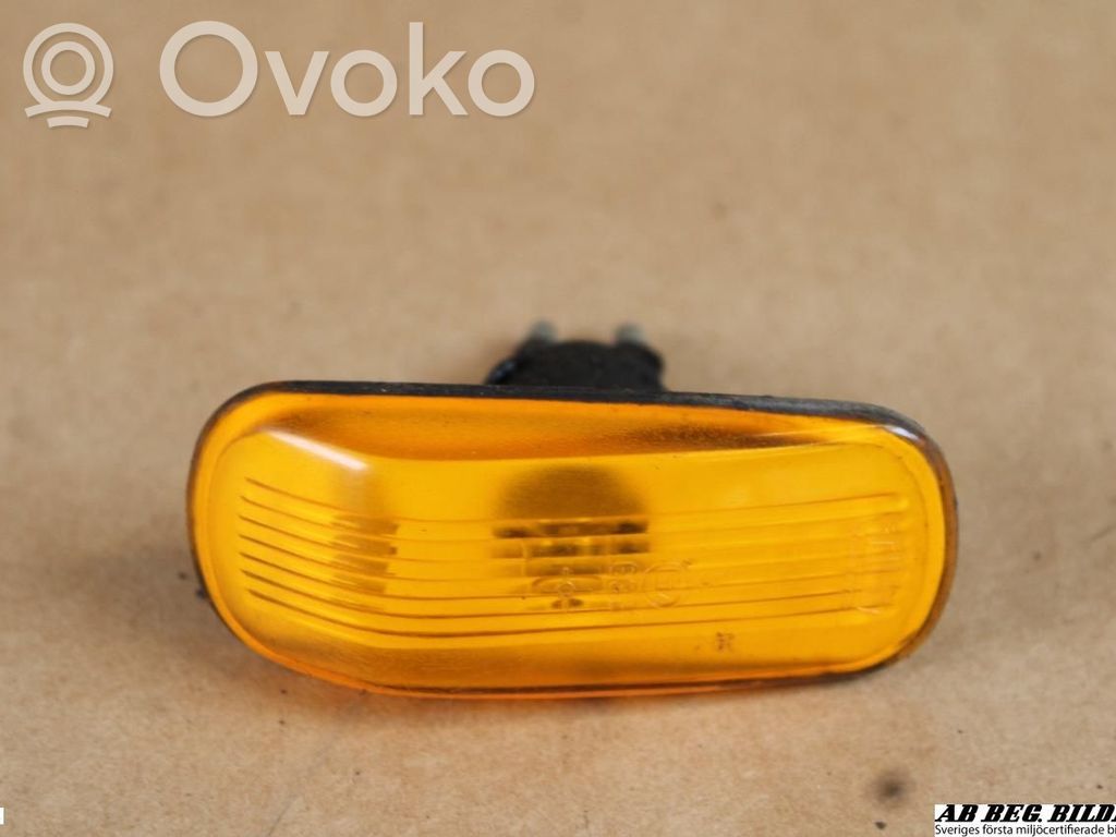 Front fender indicator light