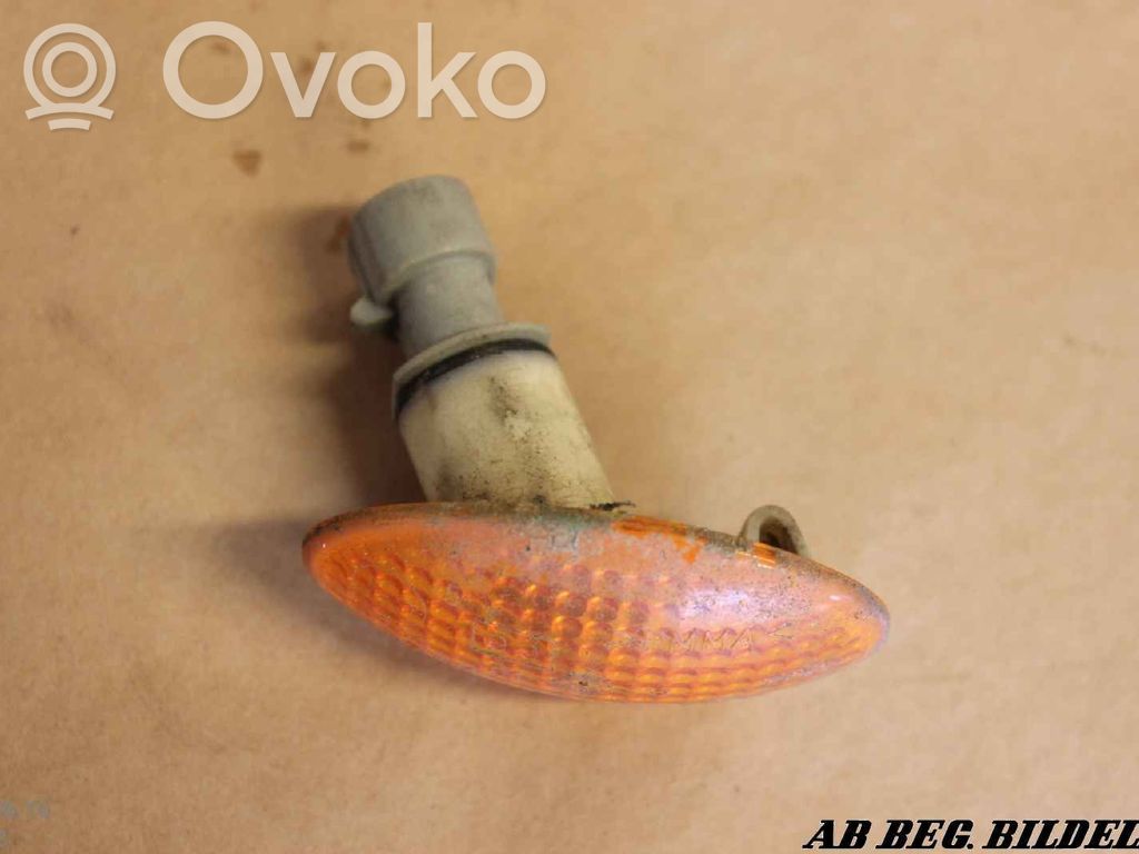 Front fender indicator light