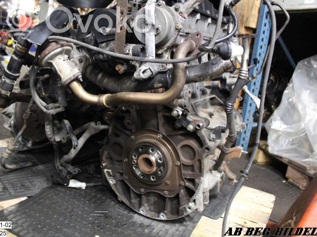 Ford Transit Motor 
