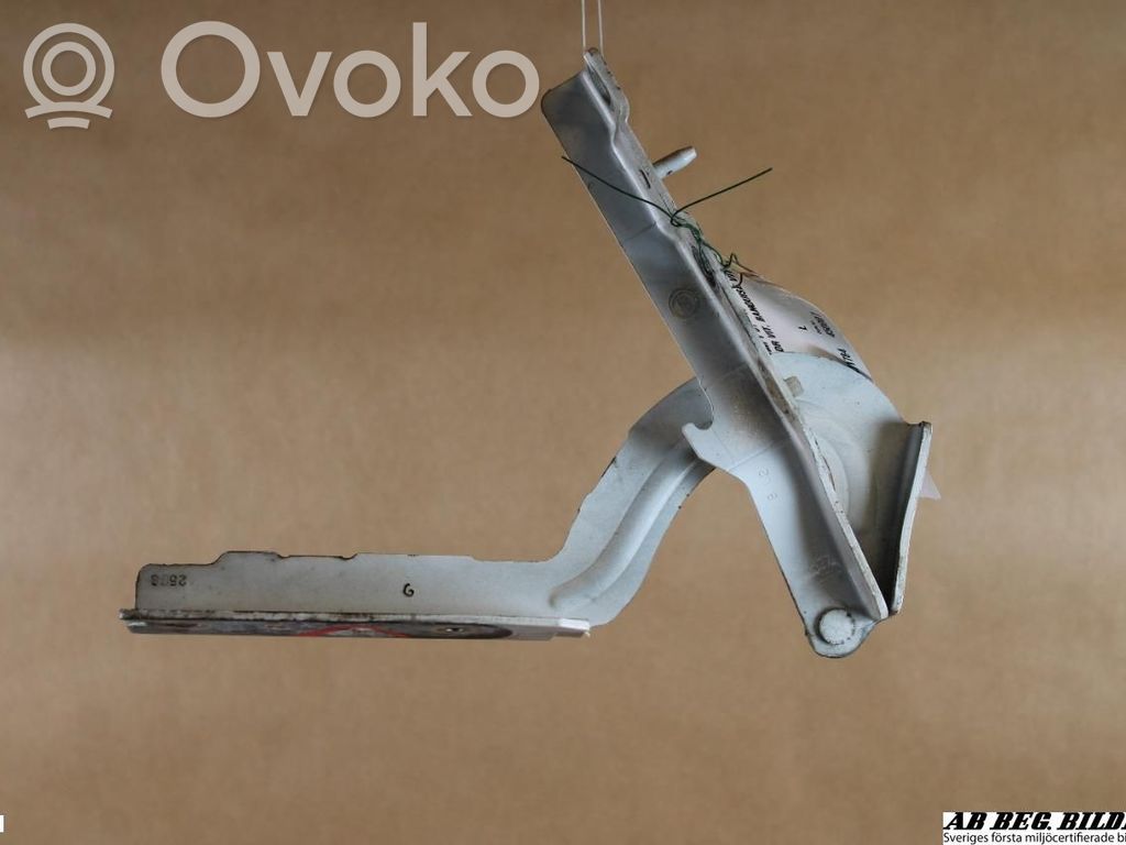 Citroen Jumpy Engine bonnet/hood hinges 