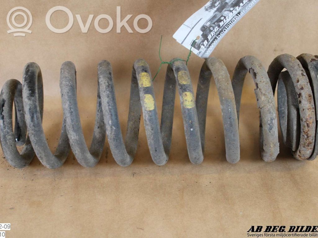 Rear coil spring