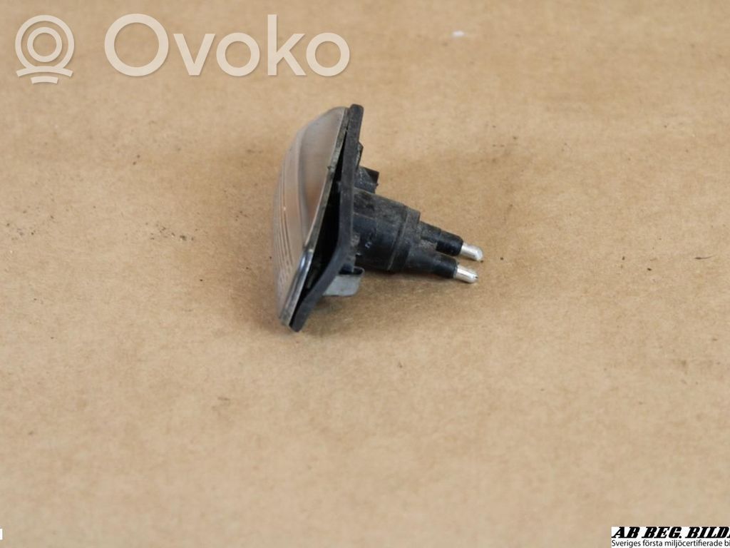 Front fender indicator light