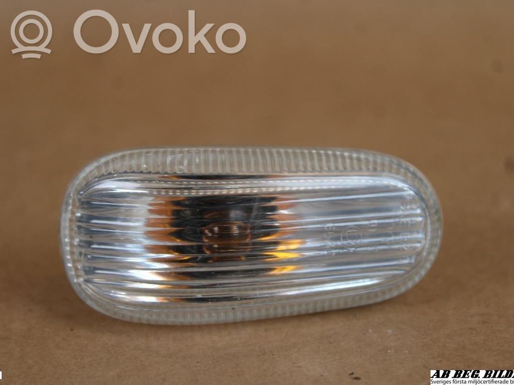Front fender indicator light