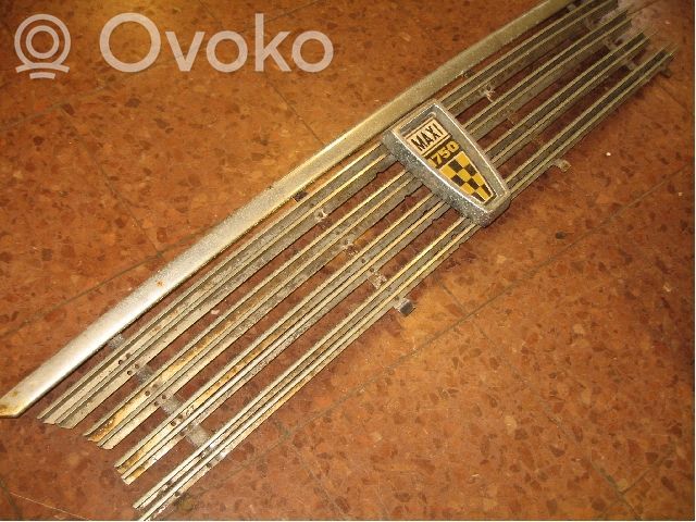 Oberes Gitter vorne