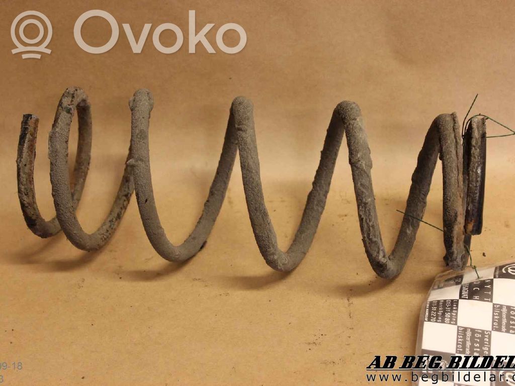 Suzuki Alto Rear coil spring