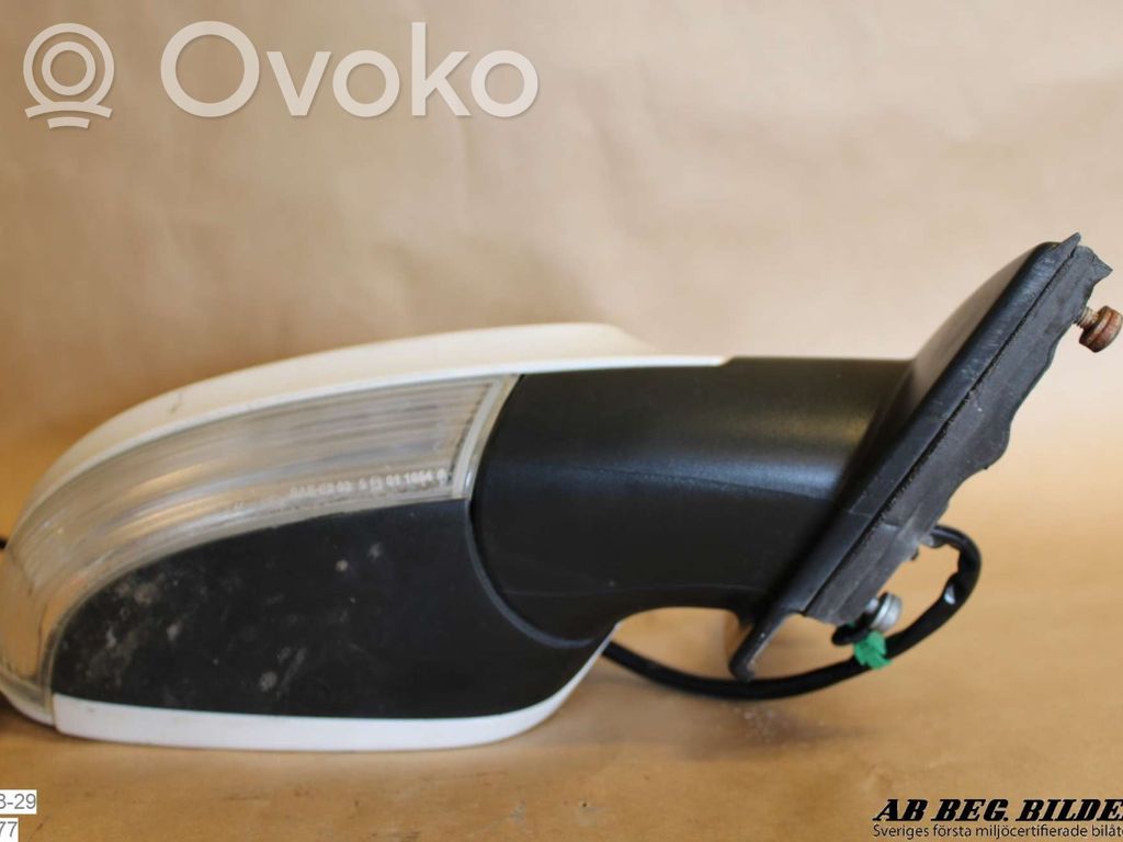 Volkswagen PASSAT B6 Front door electric wing mirror