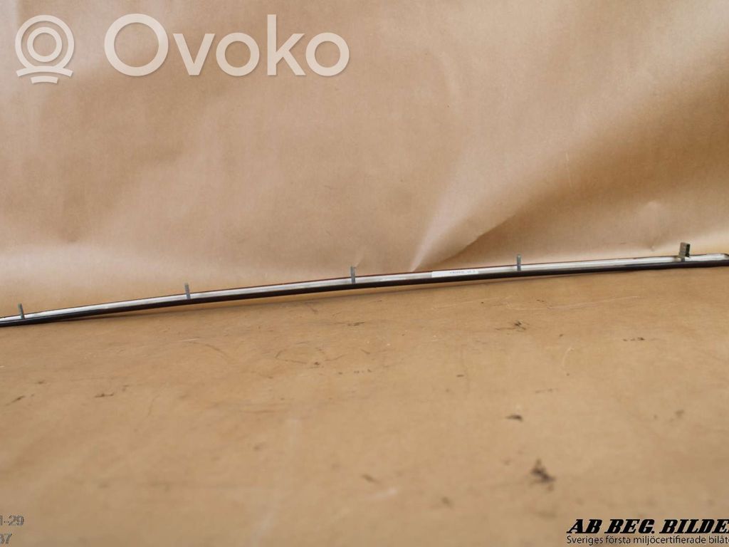 BMW 5 E39 Rear door trim (molding) 