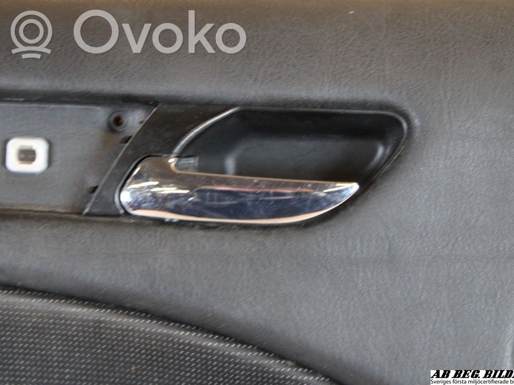 Verkleidung Tür vorne