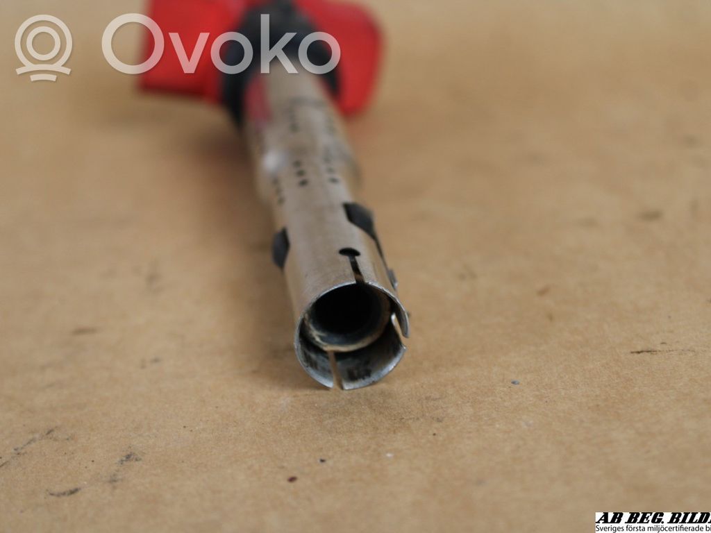 Audi A6 S6 C6 4F Aukštos įtampos ritė "babyna" 