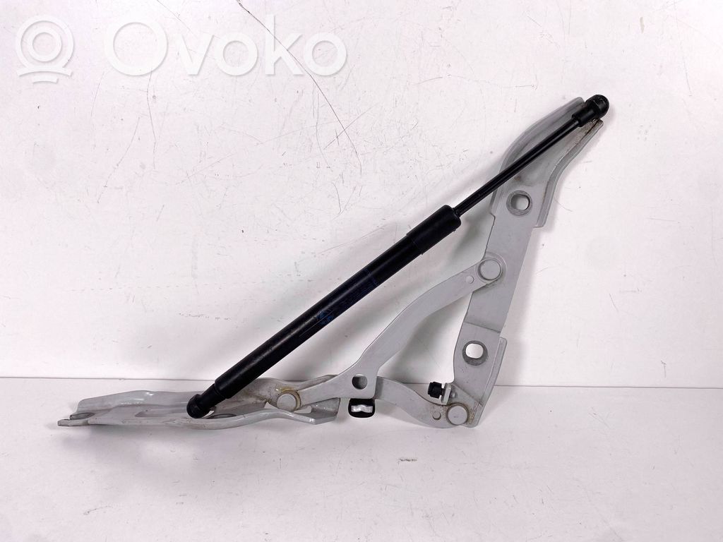 Tailgate/trunk/boot hinge   7060628,41627210676,41627133816,51247129194,7129194,7133816,7210676