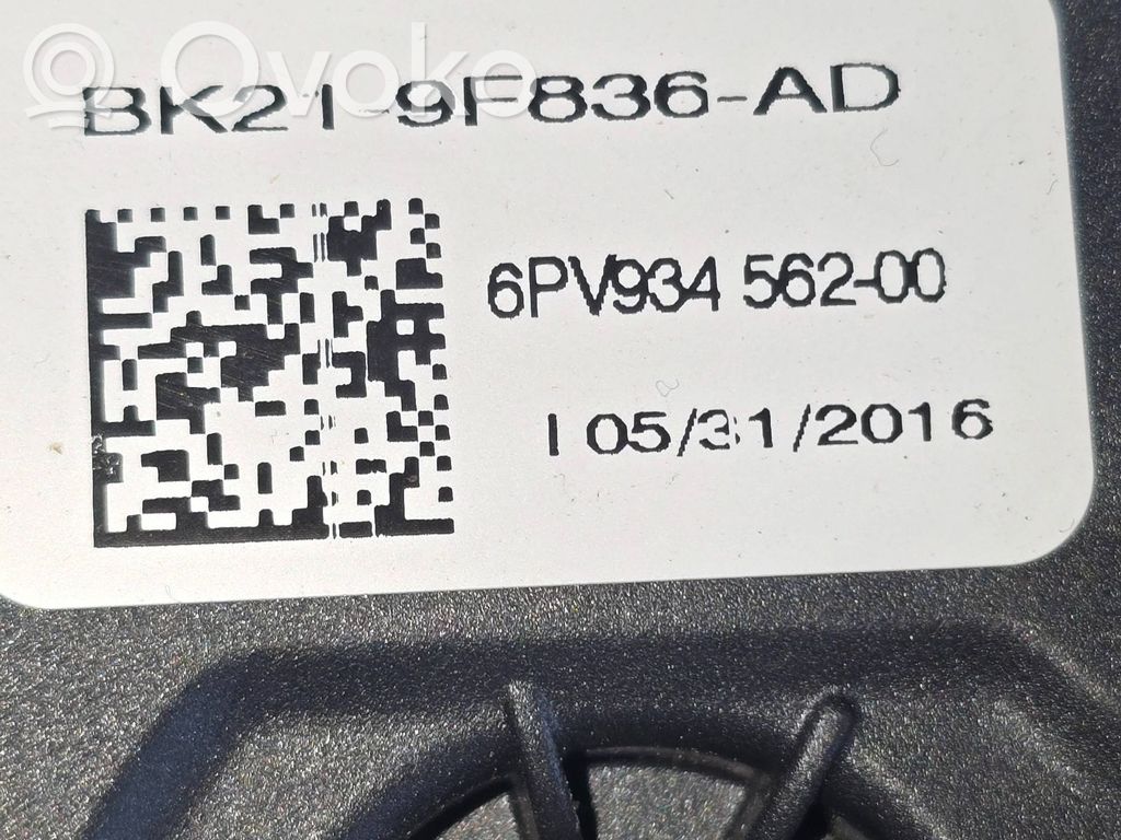 Gaspedal   BK219F836AD,6PV93456200