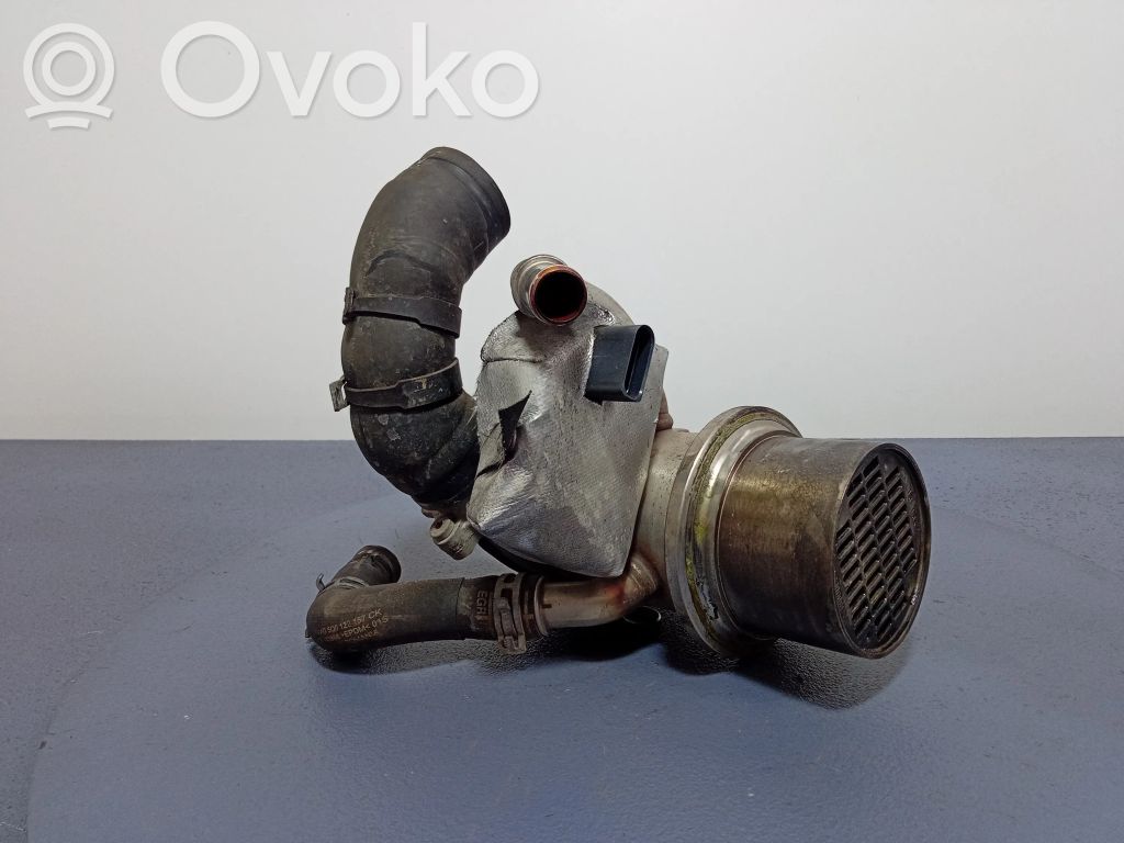 Skoda Octavia Mk3 (5E) Válvula EGR 