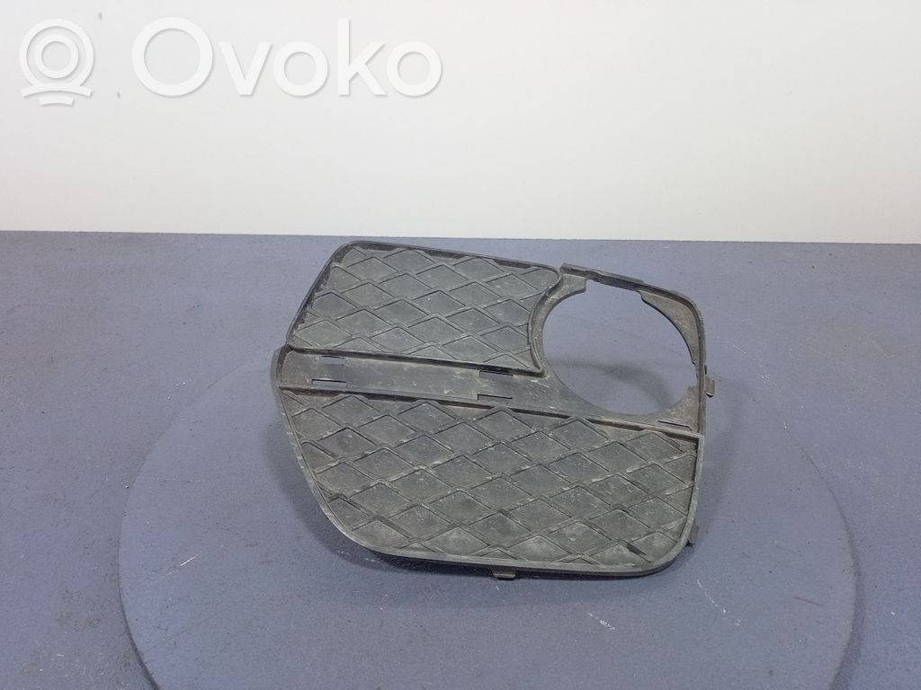 BMW X6 E71 Front bumper 