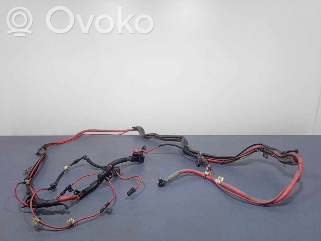BMW X6 E71 Other wiring loom 