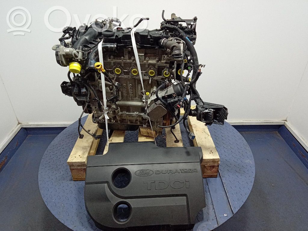 Motor   UGJE,UGJE