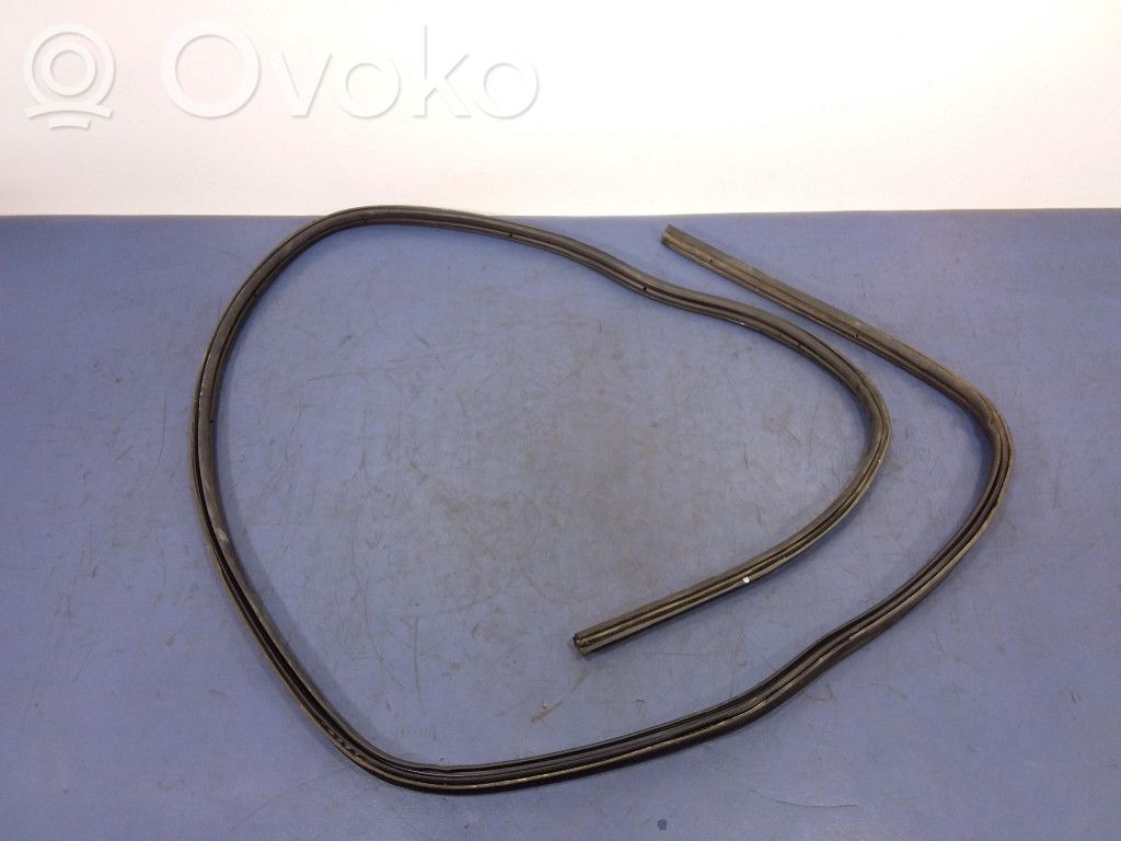 Trunk rubber seal (body)