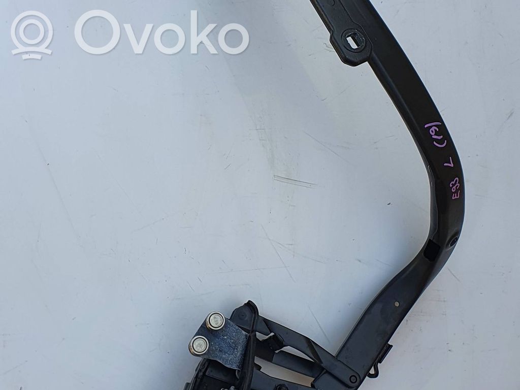 BMW 3 E92 E93 Loading door lower hinge 