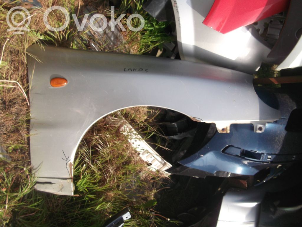 Fender