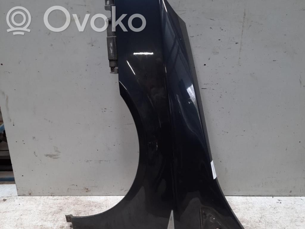 Renault Vel Satis Sparnas 