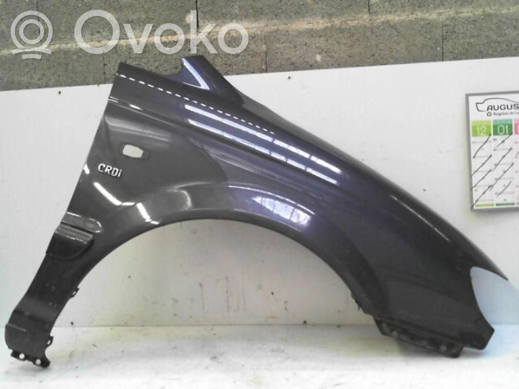 Hyundai Trajet Guardabarro 