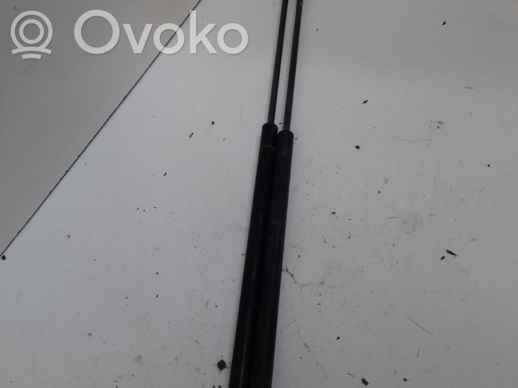 Ford C-MAX I Tailgate/trunk strut/damper 
