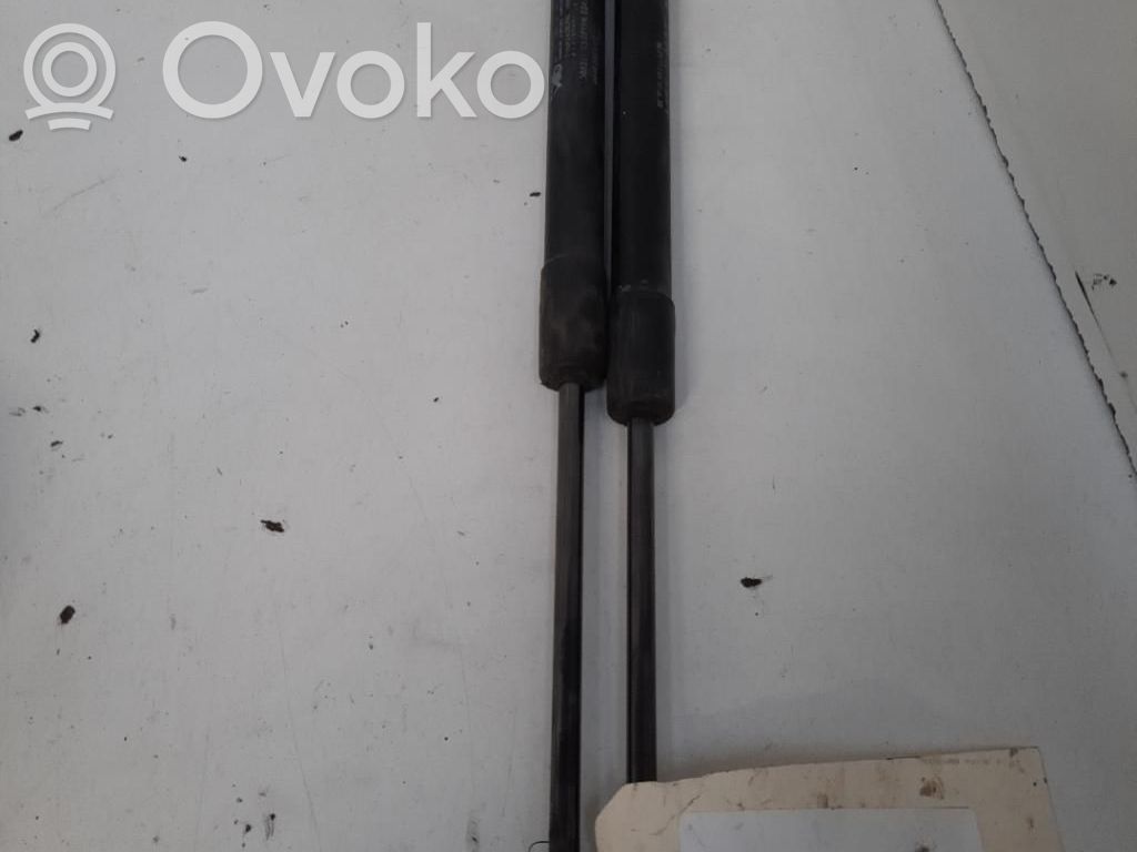 Tailgate/trunk strut/damper   904520004R