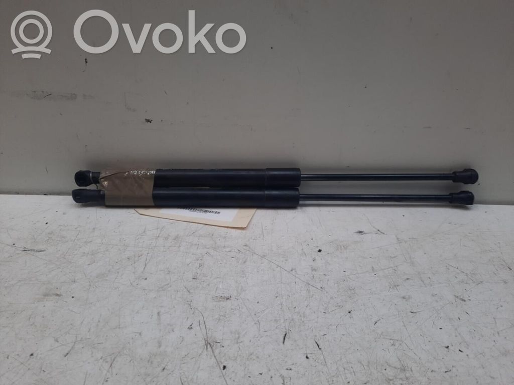 Citroen DS3 Tailgate/trunk strut/damper 