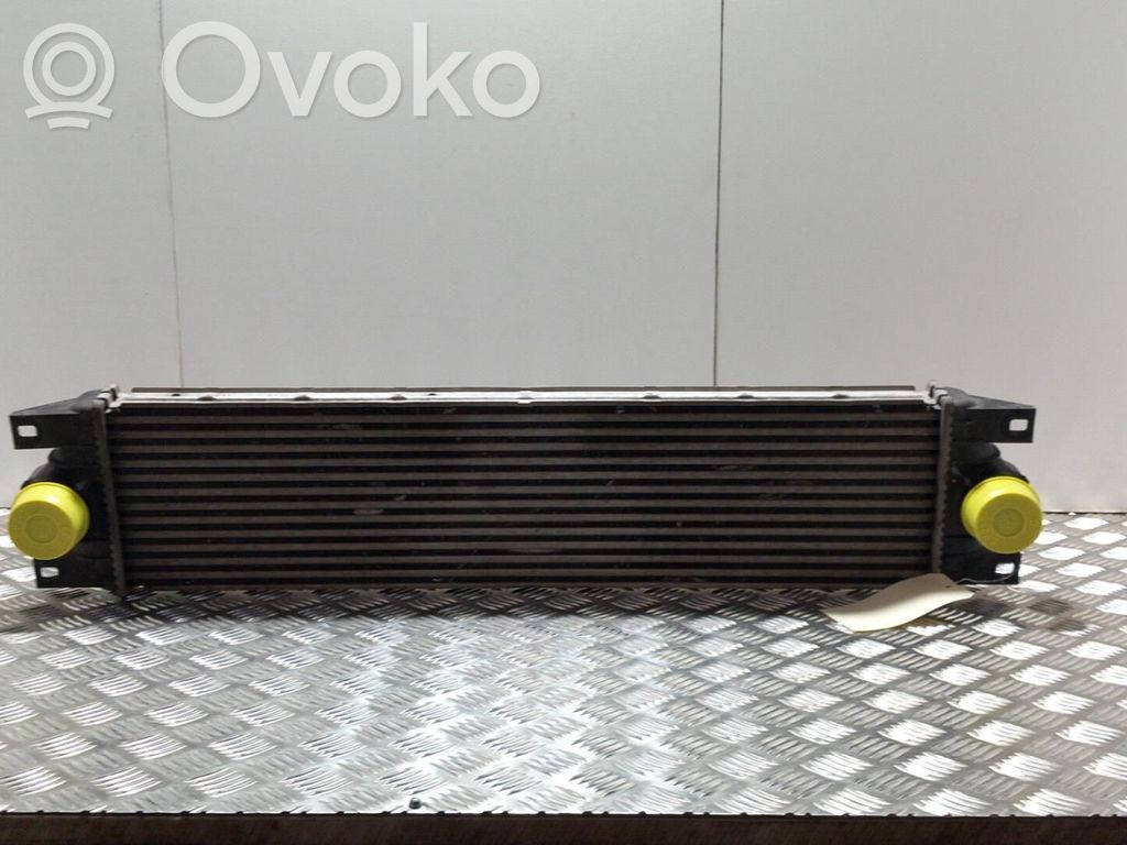 Interkūlerio radiatorius   2147000QAA