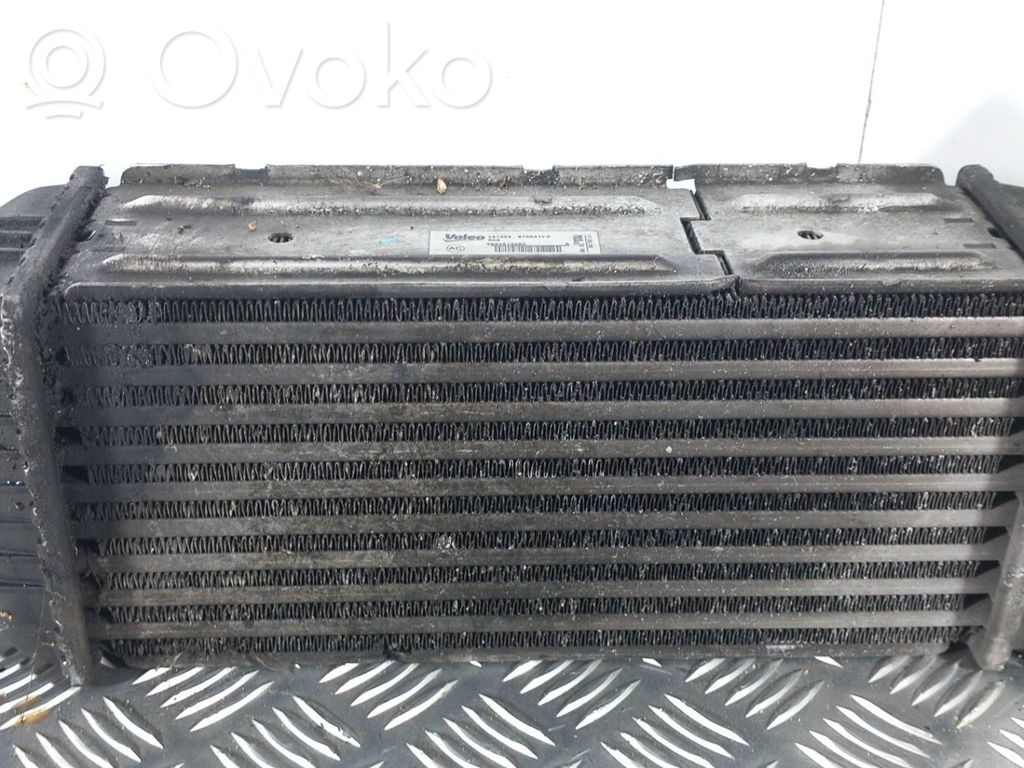 Interkūlerio radiatorius   00000384G9