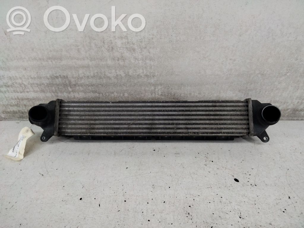 Intercooler radiator