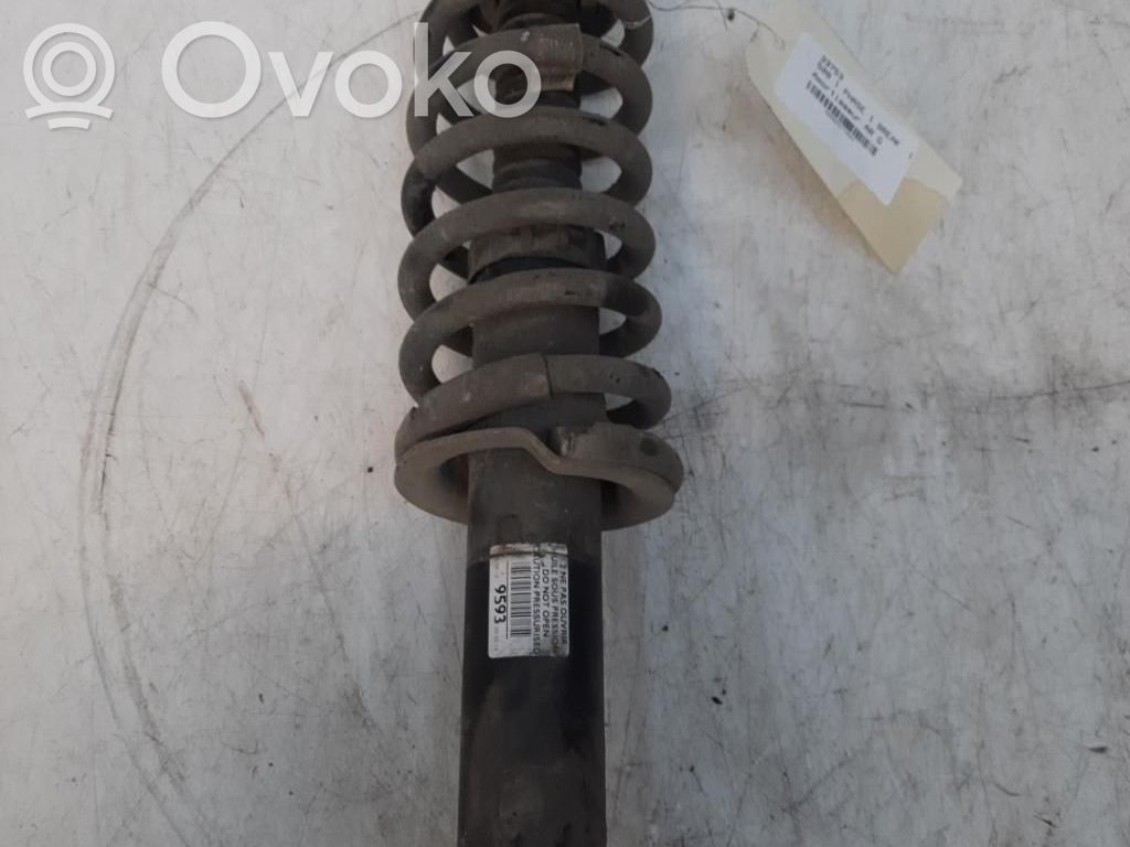 Amortyzator tylny   5207E2