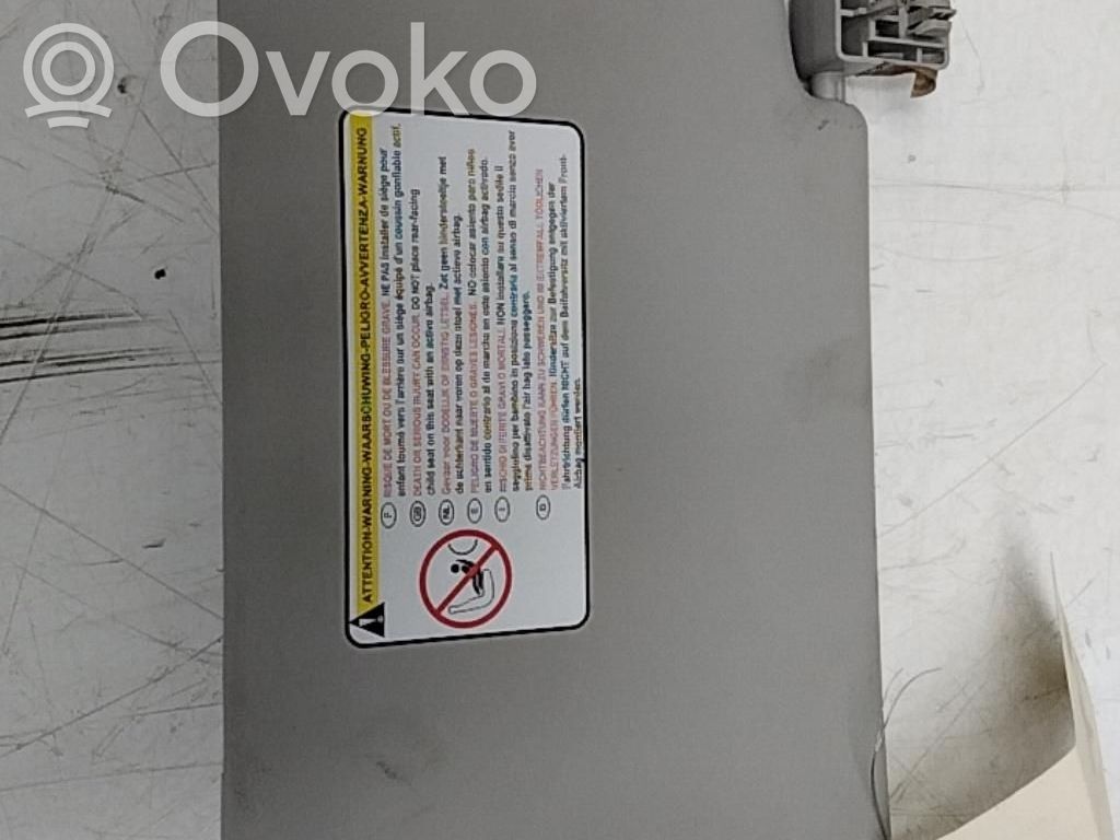 Peugeot 1007 Sun visor 