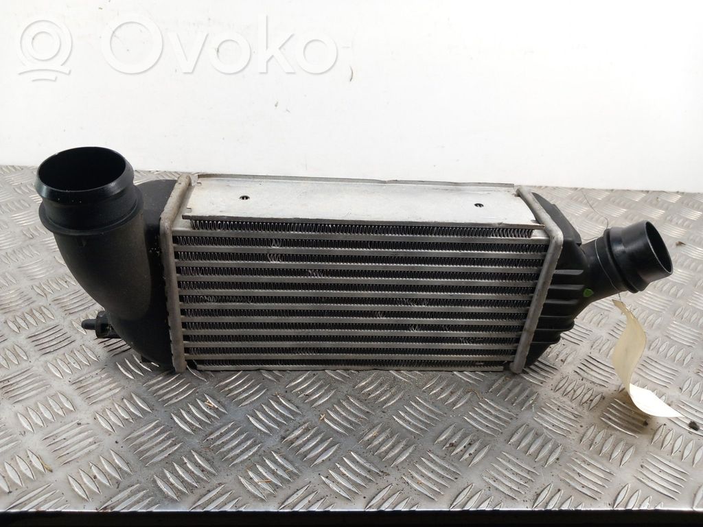 Interkūlerio radiatorius   0384P2