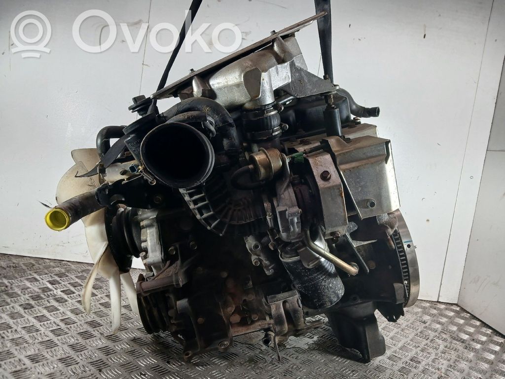 Variklis   10102G2407